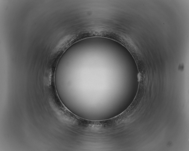 X0000090730694200707271403