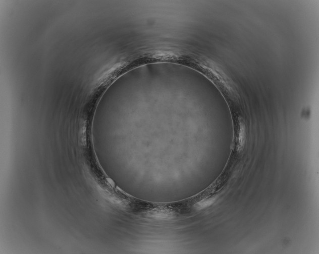 X0000090730696200707271403