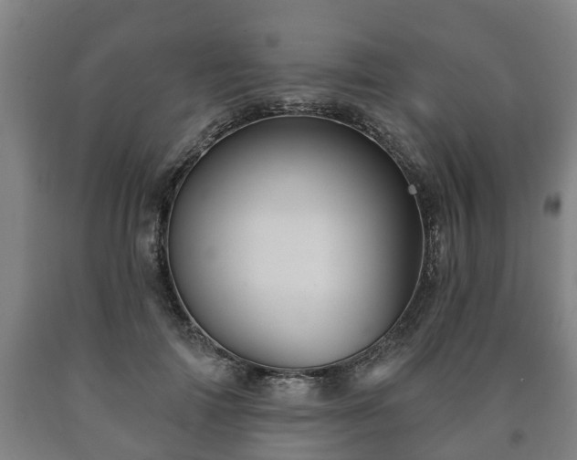 X0000090730698200707271403