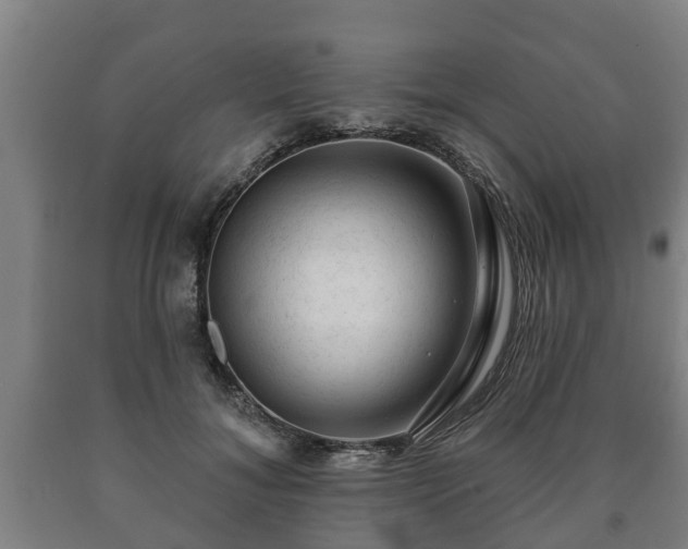 X0000090730700200707271403