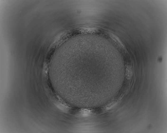 X0000090730701200707271403