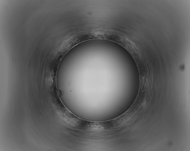 X0000090730702200707271403
