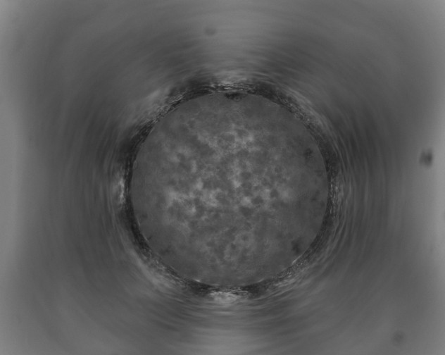 X0000090730703200707271403