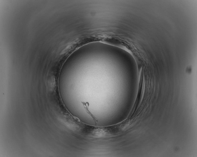 X0000090730704200707271403