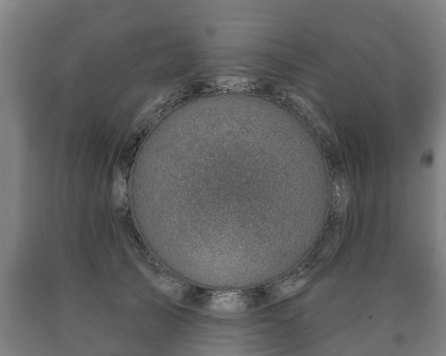 X0000090730705200707271403