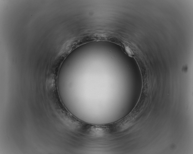 X0000090730706200707271403