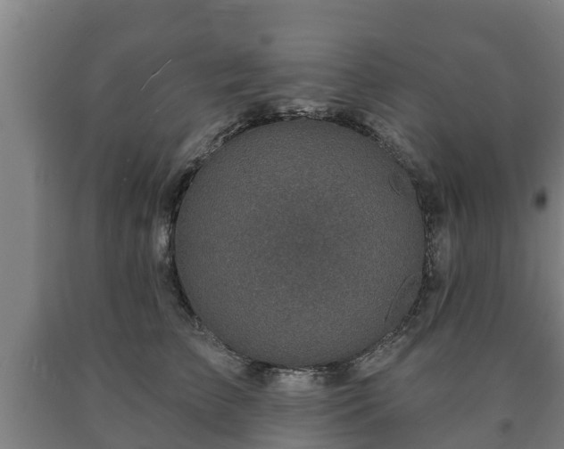 X0000090730709200707271403