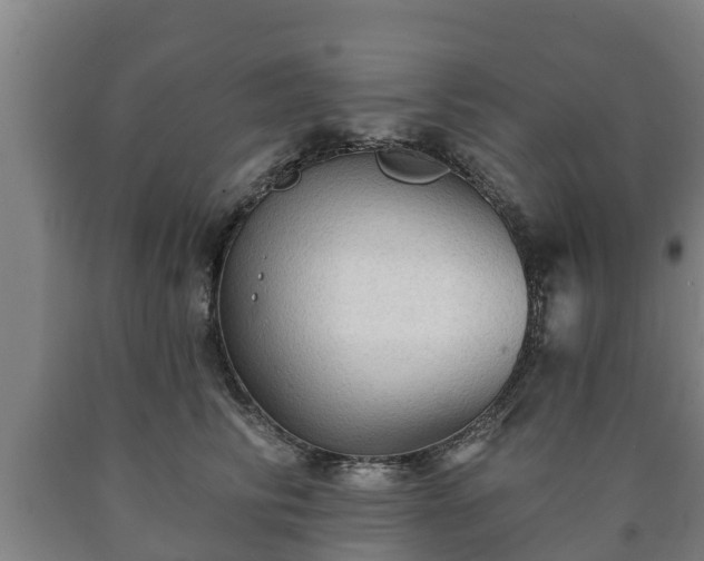 X0000090730710200707271403