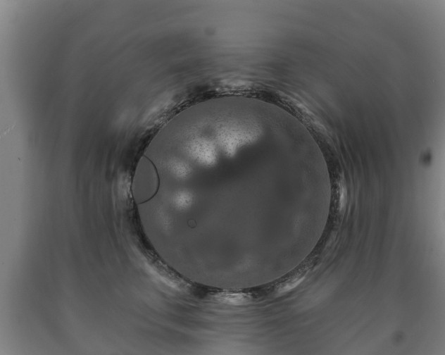 X0000090730711200707271403