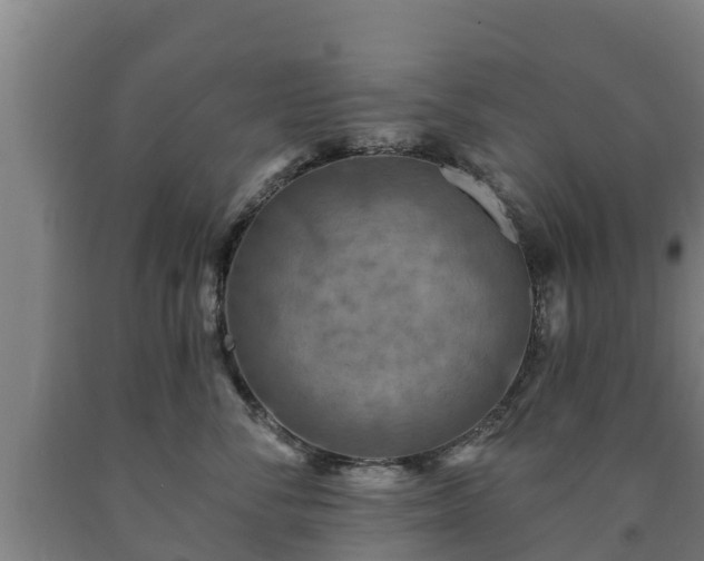 X0000090730716200707271403