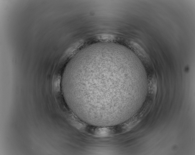 X0000090730717200707271403