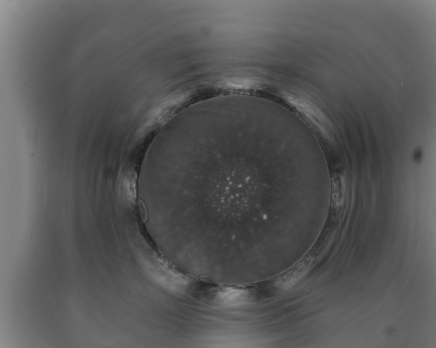 X0000090730718200707271403