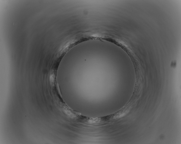 X0000090730720200707271403