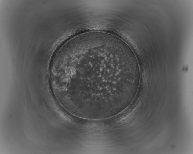 X0000090730721200707271402
