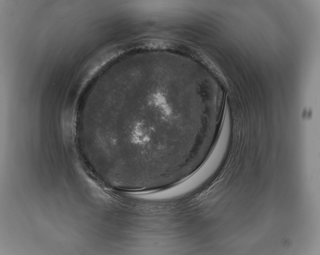 X0000090730722200707271402