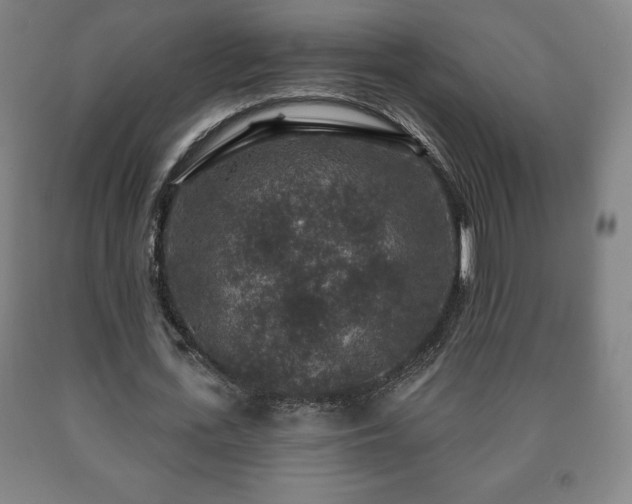 X0000090730723200707271402