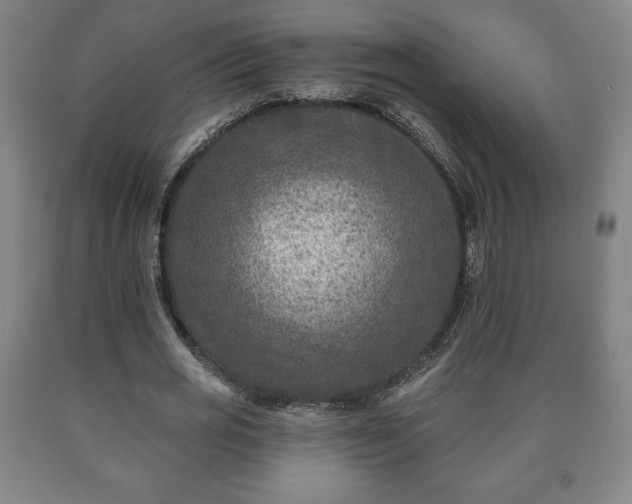X0000090730725200707271402