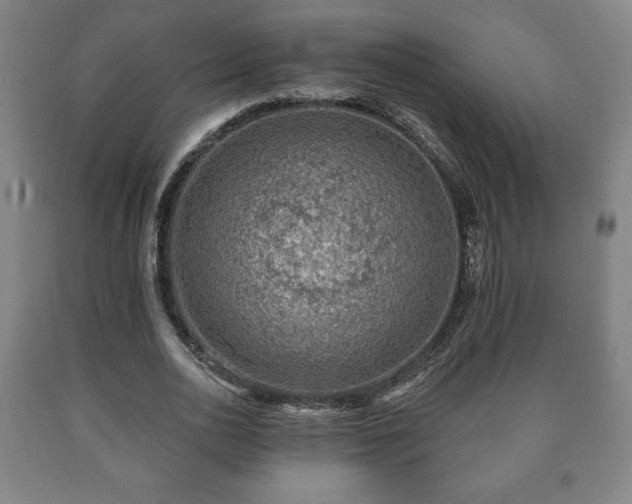 X0000090730726200707271402