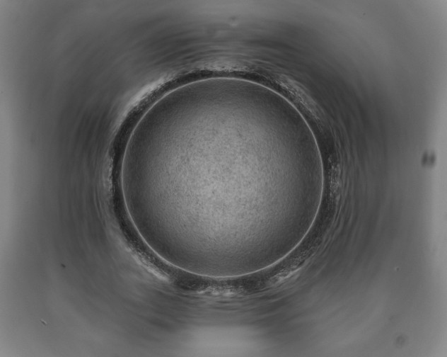 X0000090730727200707271402