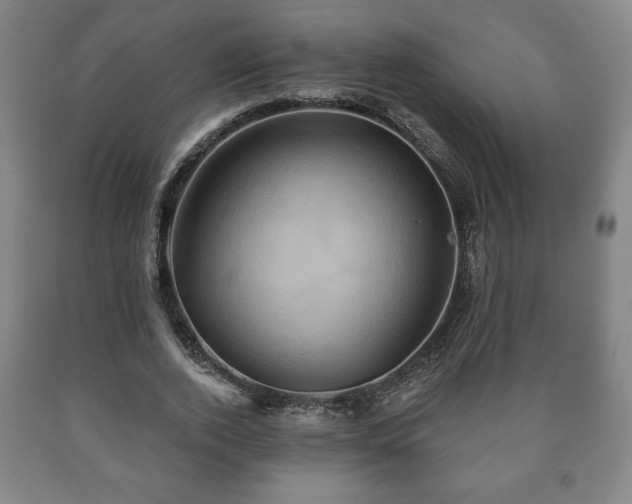 X0000090730728200707271402