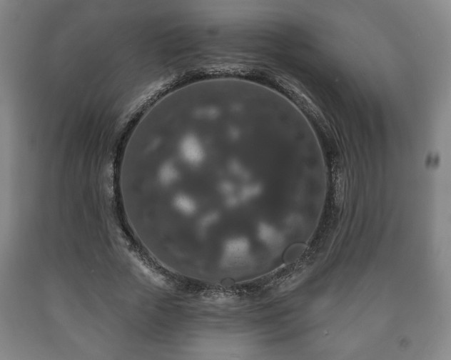 X0000090730729200707271402