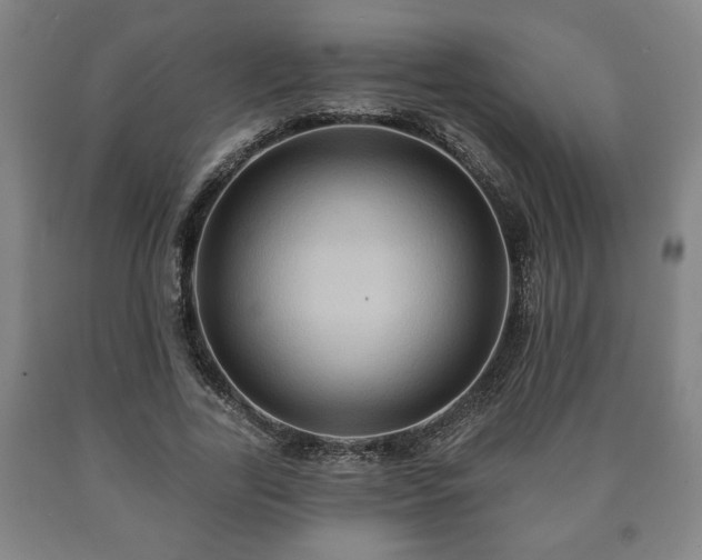 X0000090730731200707271402