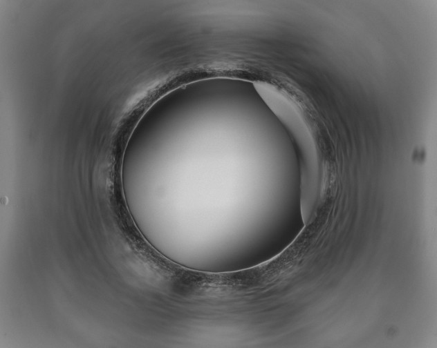 X0000090730732200707271402