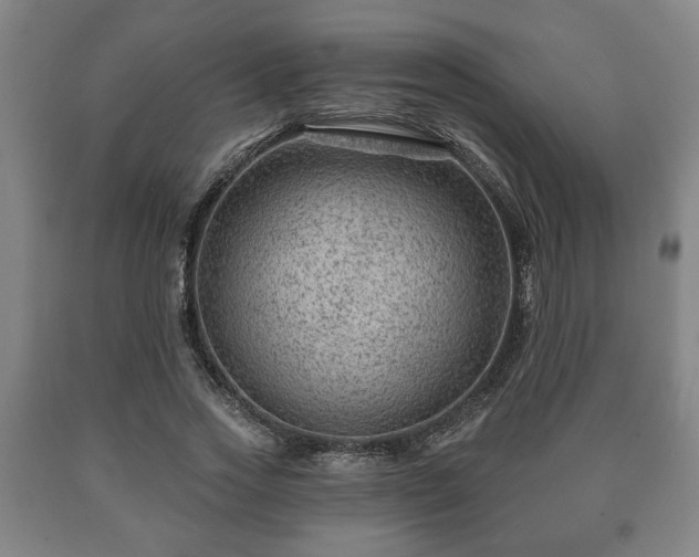 X0000090730733200707271402