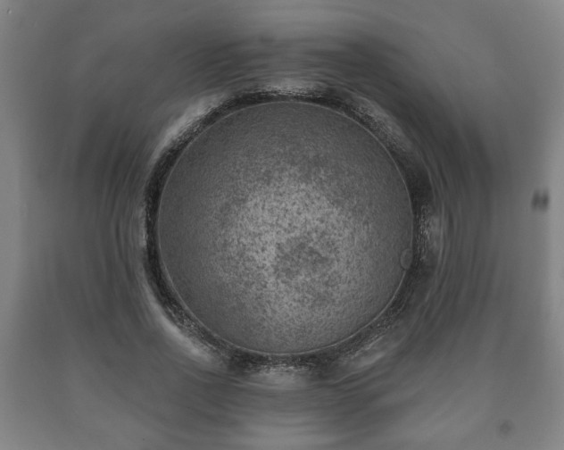 X0000090730734200707271402