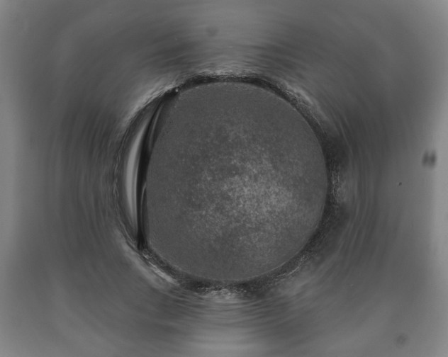 X0000090730735200707271402