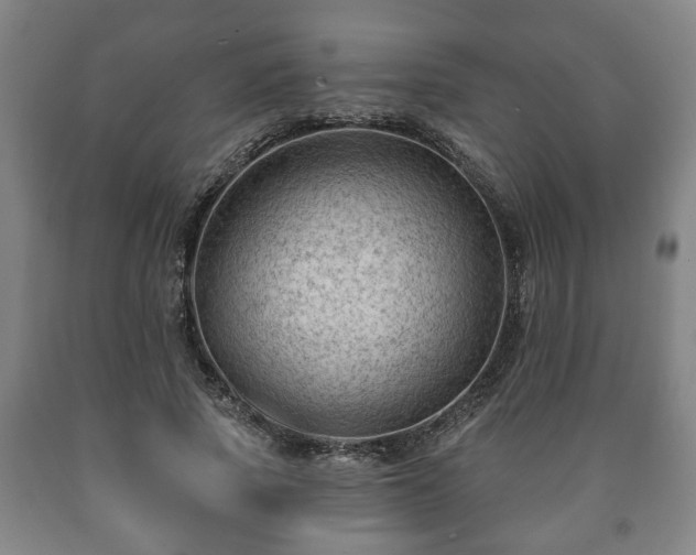 X0000090730737200707271402