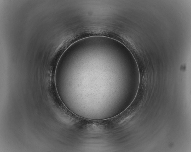 X0000090730739200707271402