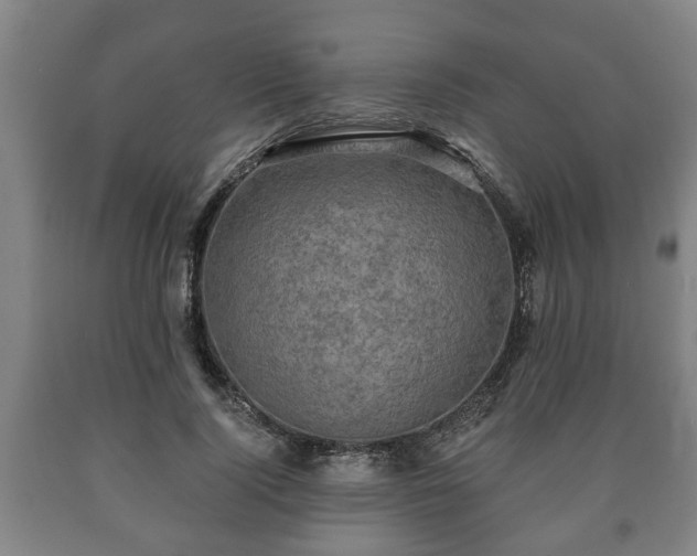 X0000090730740200707271402
