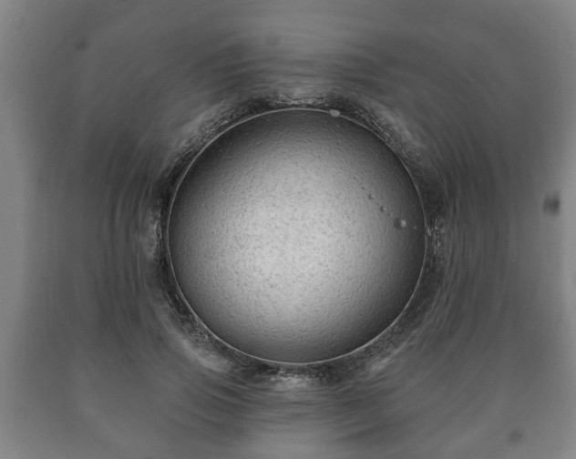 X0000090730741200707271402