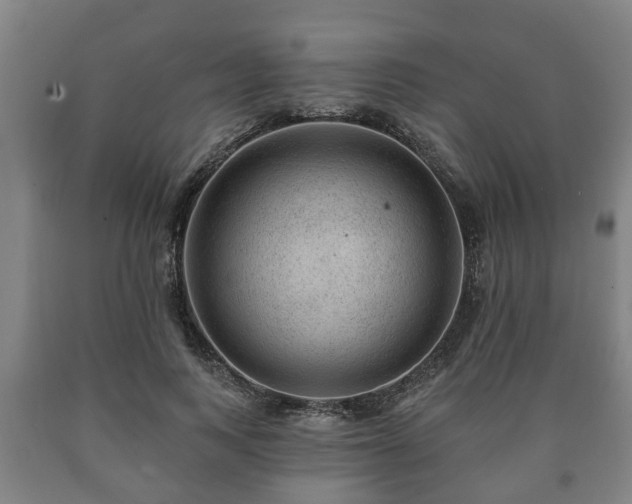 X0000090730743200707271403