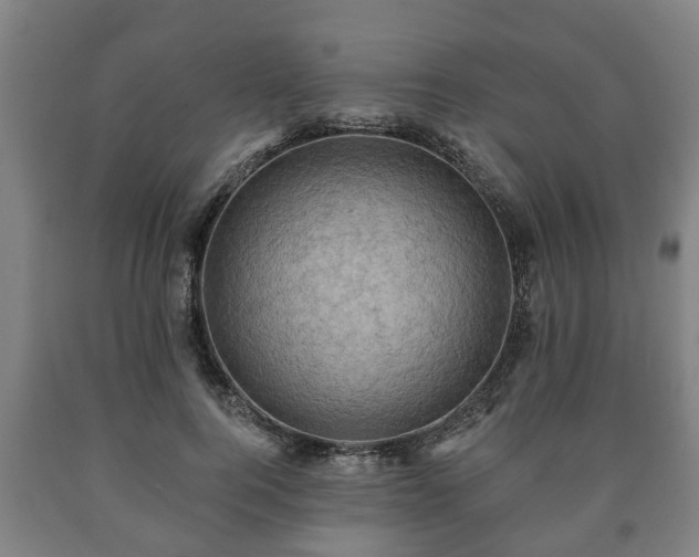 X0000090730744200707271403