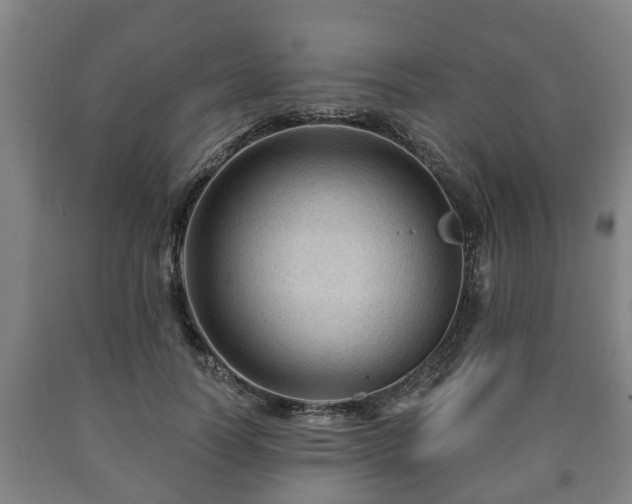 X0000090730746200707271403