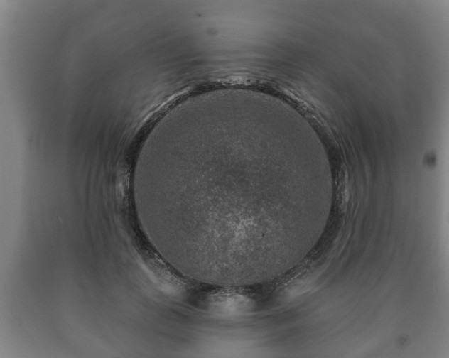 X0000090730747200707271403