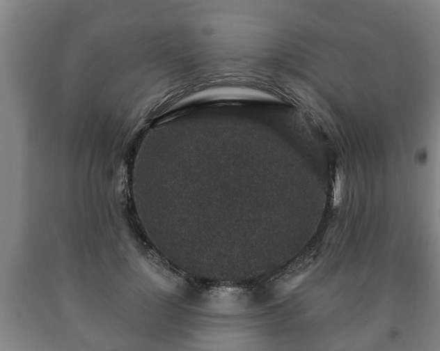 X0000090730748200707271403