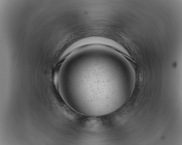 X0000090730750200707271403