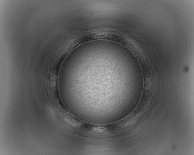 X0000090730753200707271403
