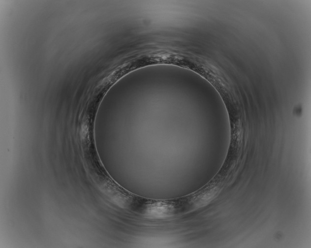 X0000090730754200707271403