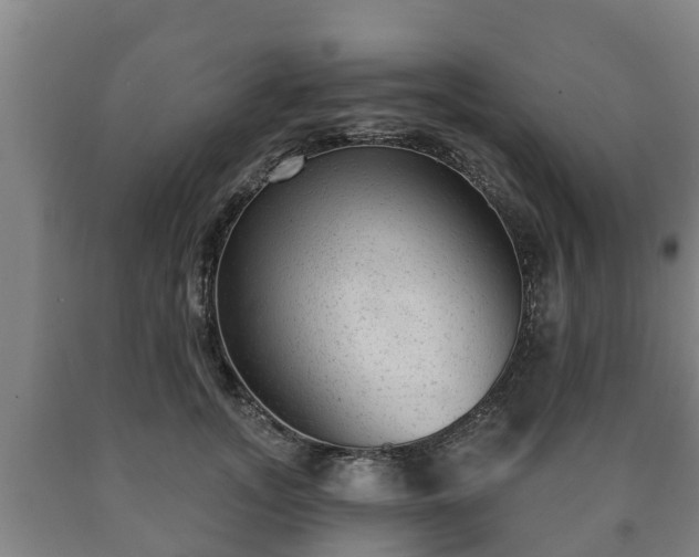 X0000090730755200707271403