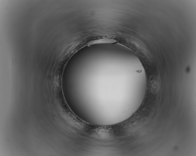 X0000090730756200707271403