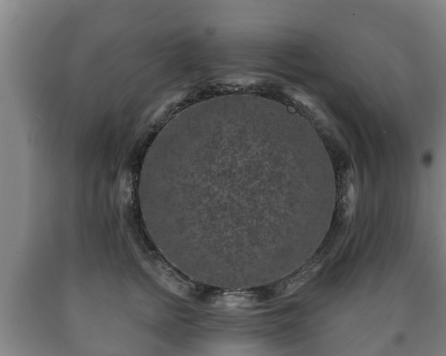 X0000090730758200707271403