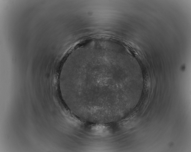 X0000090730759200707271403