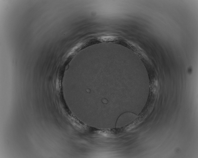 X0000090730763200707271403