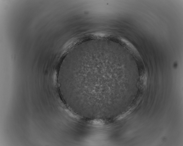 X0000090730765200707271403