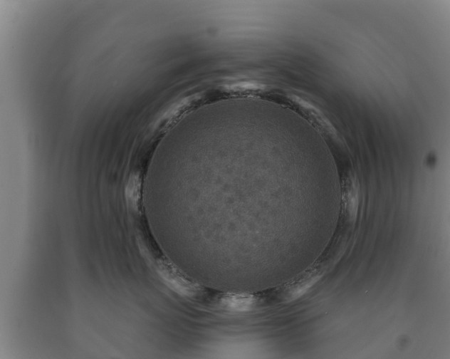 X0000090730767200707271403