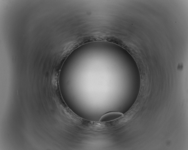 X0000090730768200707271403